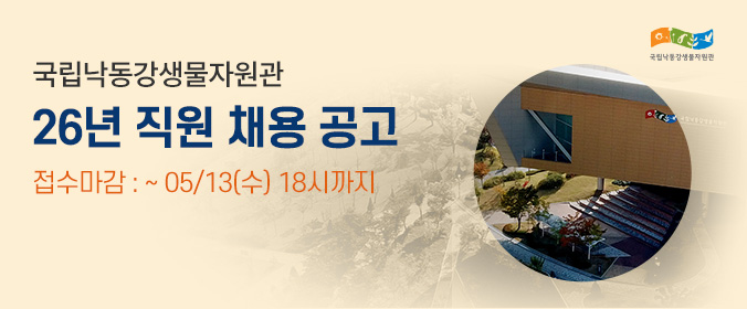 배너이미지